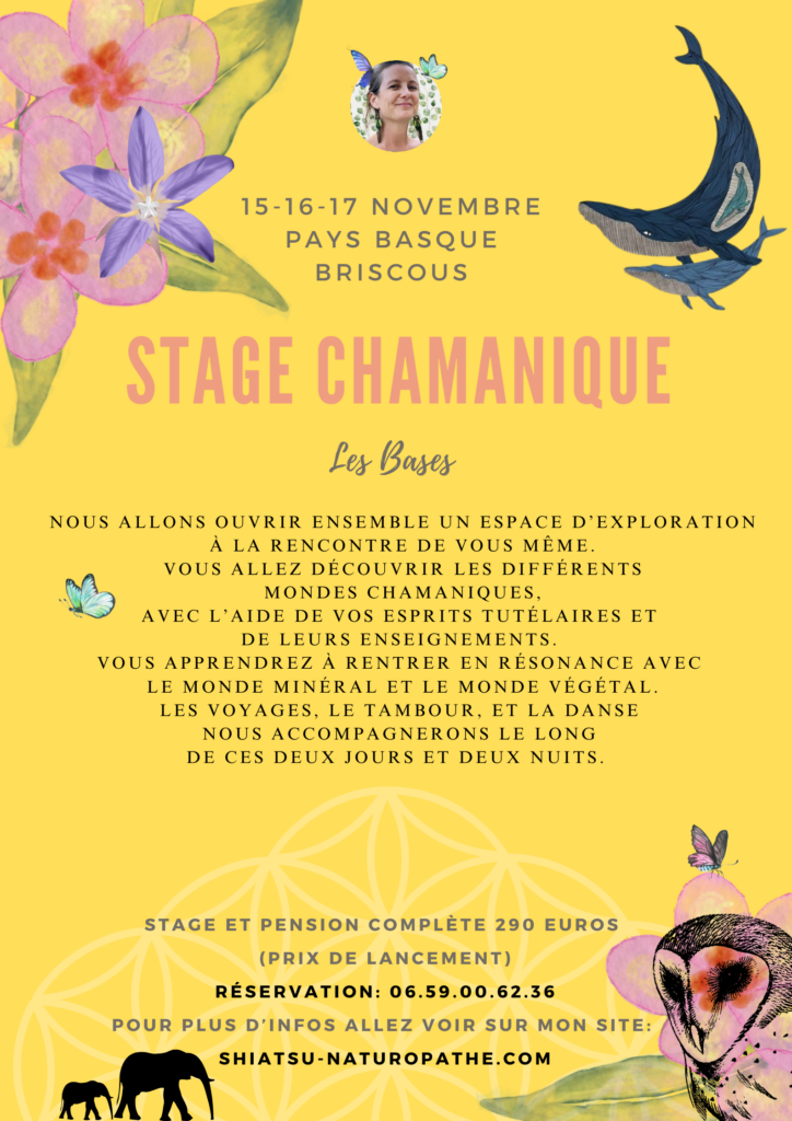 Stage Chamanique